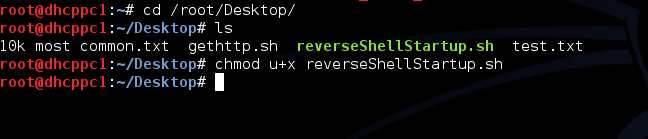 reverse Shell Çalıştırma İzni