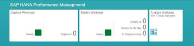 Capturing and Replaying Workloads - by the SAP HANA Academy