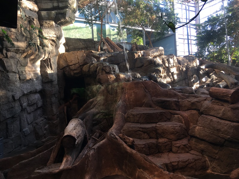 The Zoo Review Zoo Review Downtown Aquarium Denver