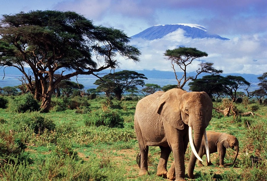 ¿Dónde viajarás si te tocara el Gordo de Navidad?