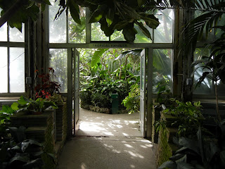 Inside the Whitcomb conservatory on Belle Isle in Detroit, Michigan