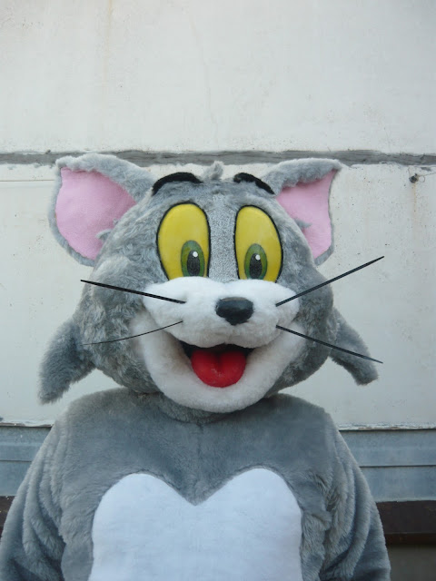 Maskota prodaja, Kostim prodaja, Tom Cat, Maskota Mačak Tom, Maskota Zeka, Mascot Bunny