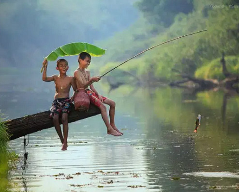 99 Arti Mimpi Mancing Dapat Ikan Cantik Menurut Primbon Islam Hindu Dan Kristen Kode Mimpi Mancing