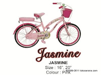 City Bike Family Jasmine 20 Inci