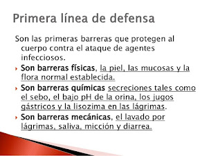 barreras defensivas