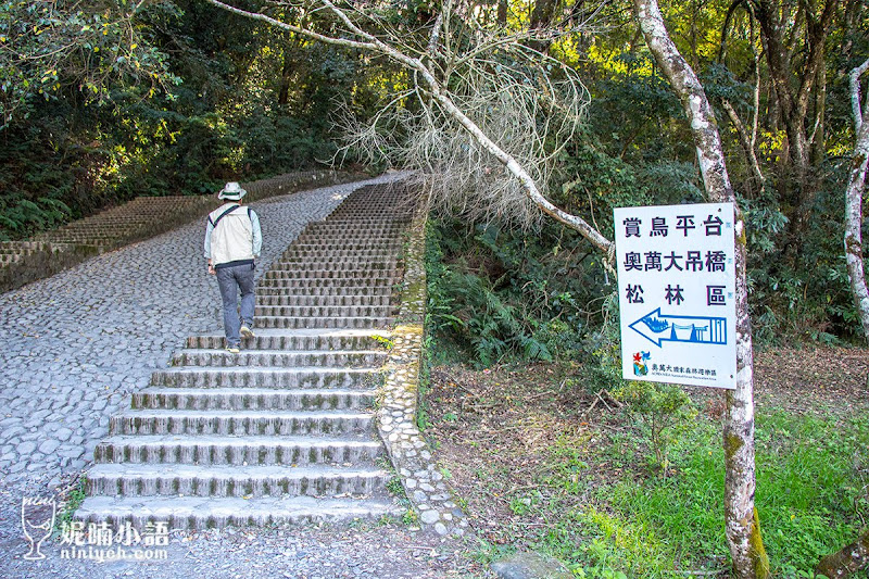 【奧萬大景點】 奧萬大國家森林遊樂園區路線。賞楓賞松還能賞櫻花