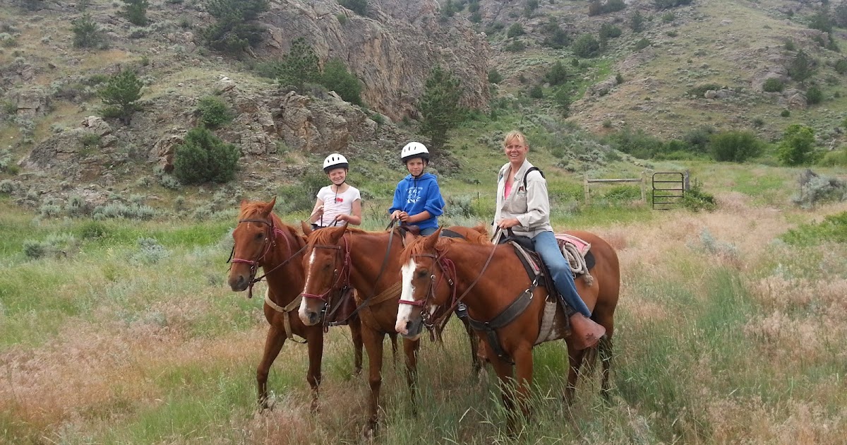 What a Horse Ride Discover Your Home