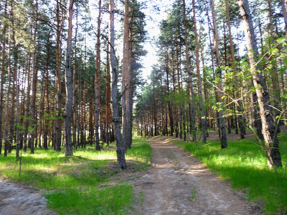 Національний природний парк «Олешківські піски»