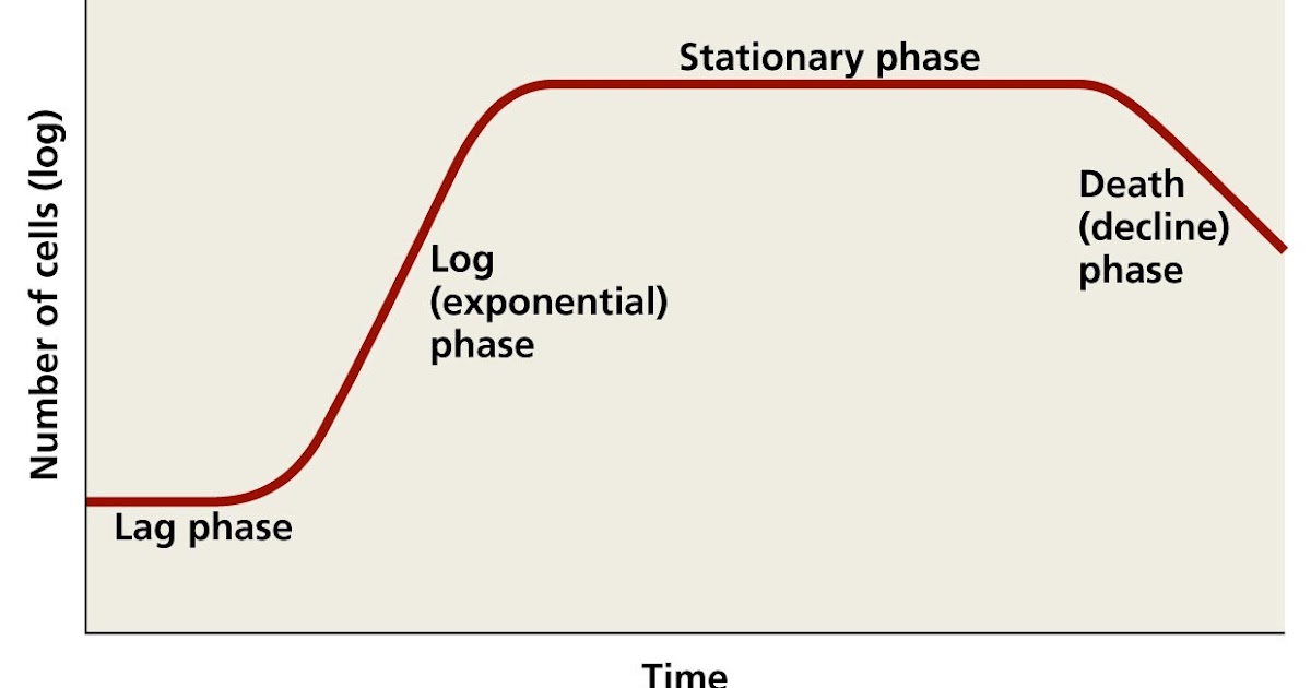 Wastewater Microbiology EES 4102C Spectrophotometer and Bacteria Growth