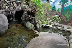 taman akuarium air tawar tmii