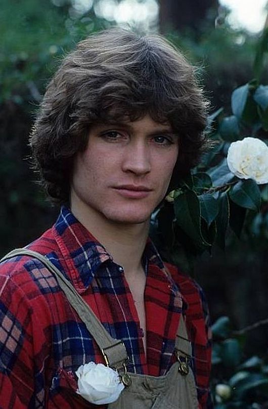 Favorite Hunks & Other Things Andrew Stevens ACTORS & Skin