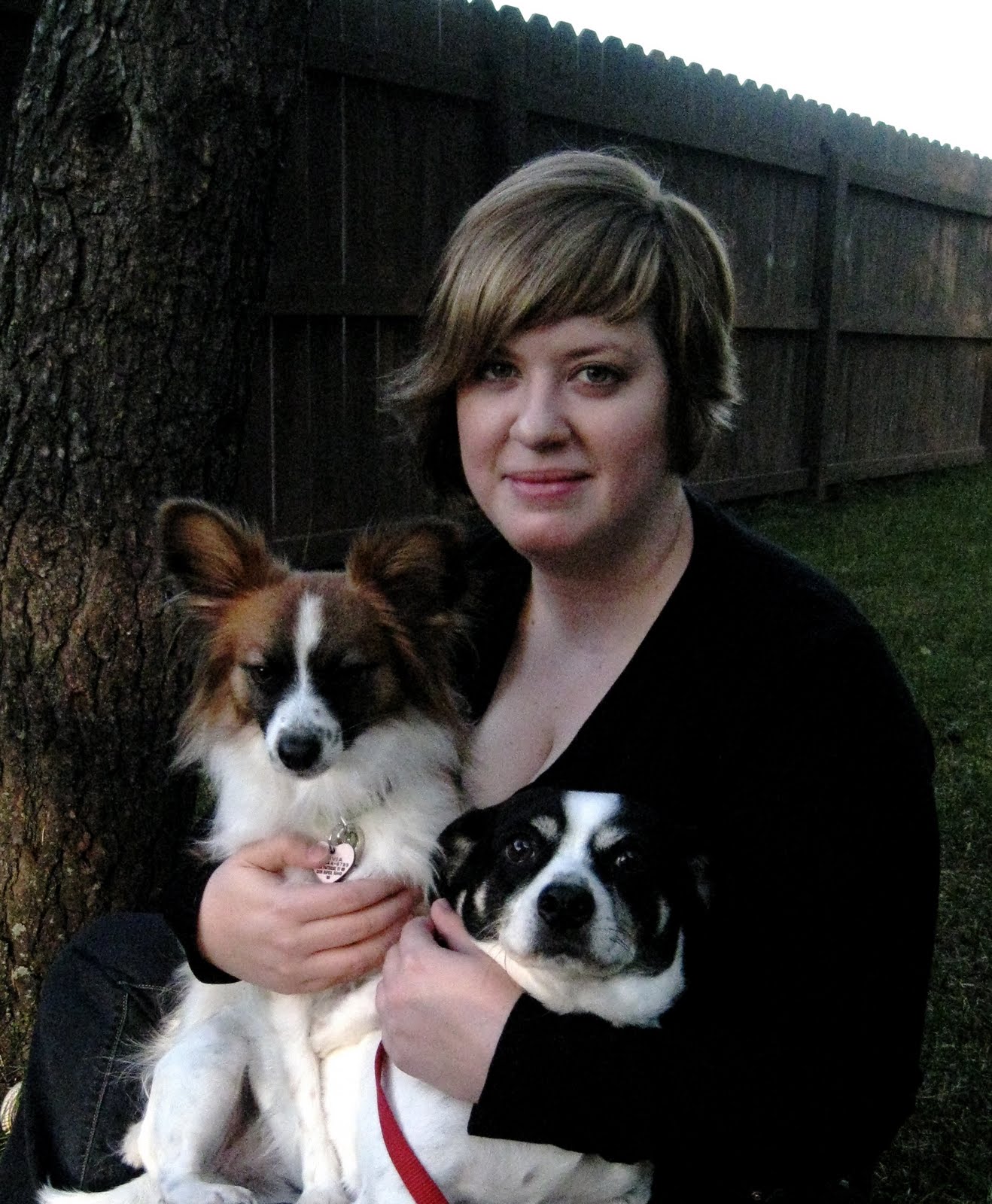 Small Dog Rescue of Minnesota Rescue and Adoption Blog November 2011