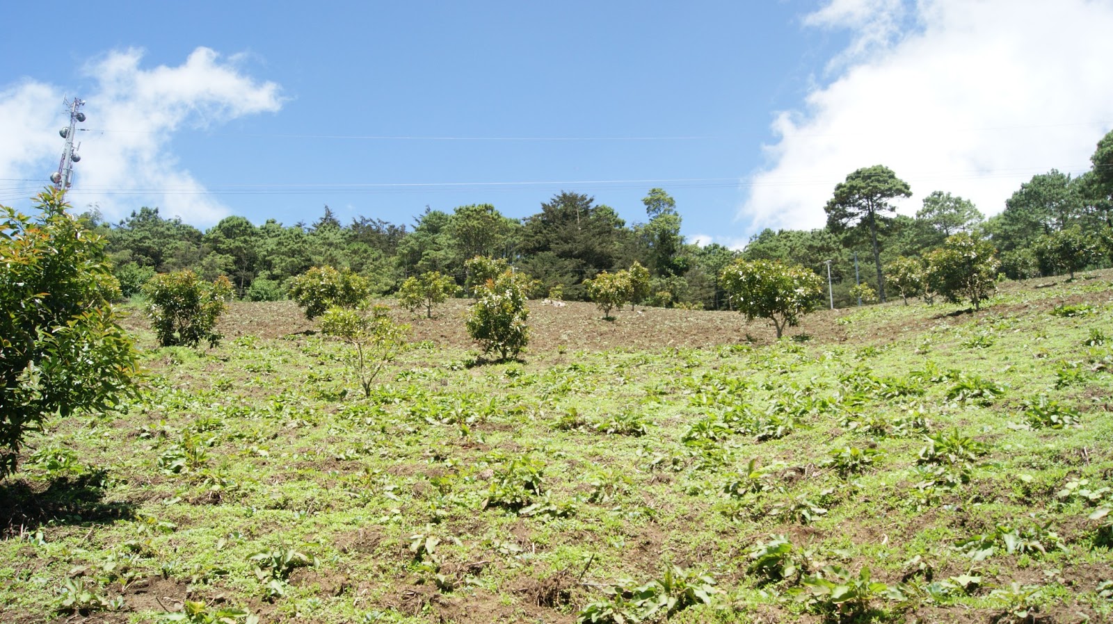 Venta de Terrenos en Miramundo Chalatenango El Salvador Venta Terrenos