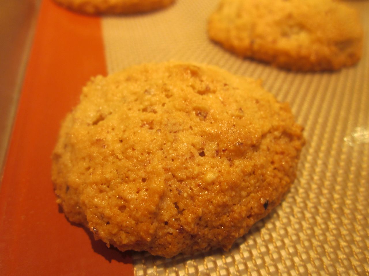 Chez Vorax Experiments in cooking Hazelnut Almond Cookies