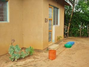 Collecting Rain Water