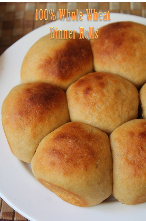 Whole Wheat Dinner Rolls Recipe (with & without eggs)