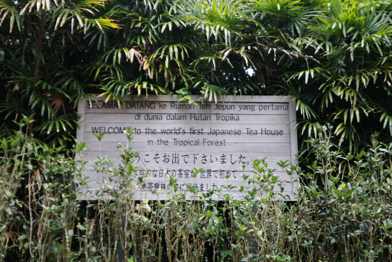 Japanese Tea House & Botanical Garden, Bukit Tinggi