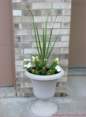 Flower pots planted in the spring | Picture featured on and property of www.BakingInATornado.com