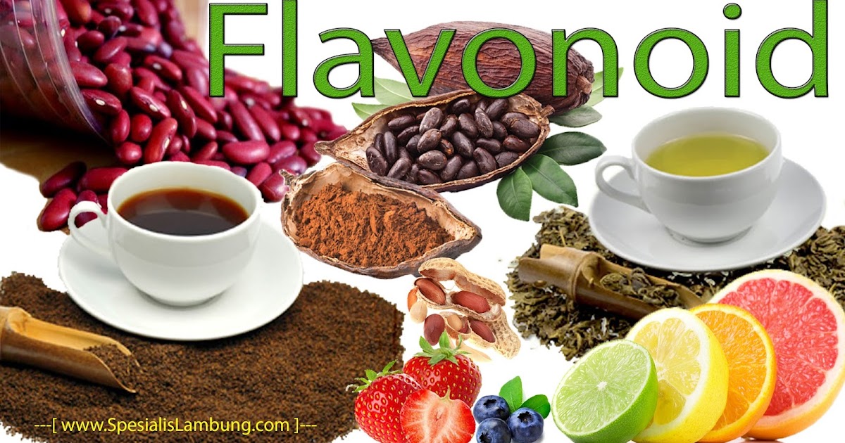 FLAVONOID SIPENJAGA KESEHATAN TUBUH KITA Obat Herbal Asam Lambung Kronis