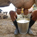 Produção leiteira cada vez mais escassa em Pernambuco