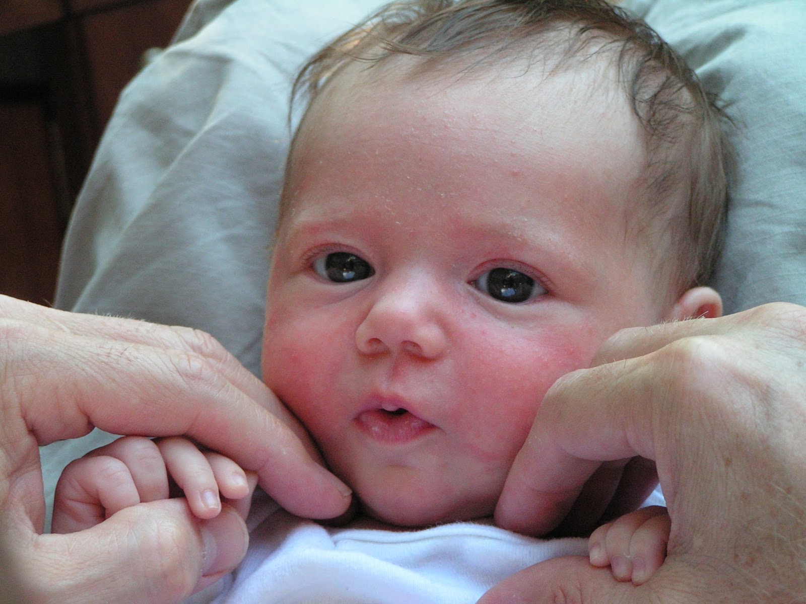 twig-hugger-sleepaway-camp