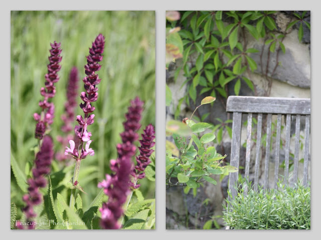 Teacup-In-The-Garden: ein kleiner spaziergang durch den garten