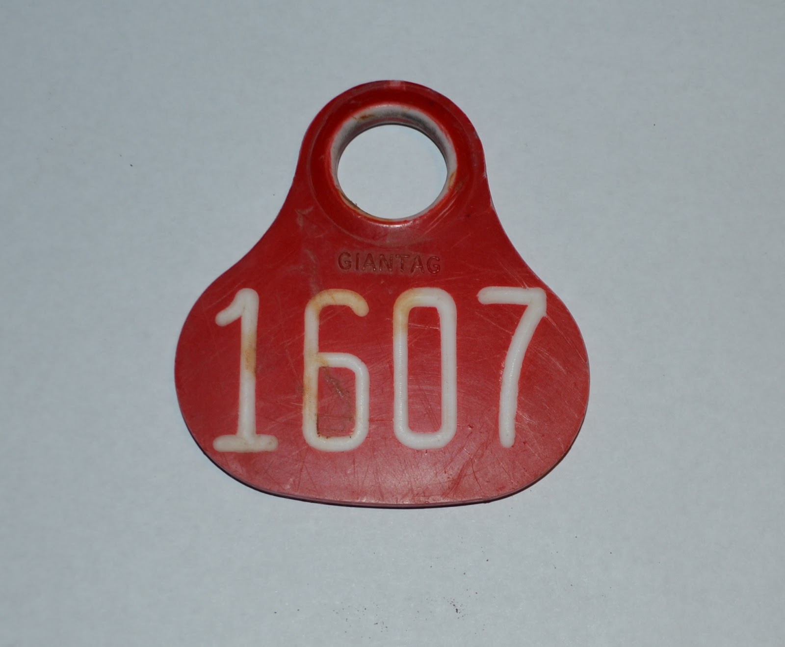 Kent Wm Jones : Cattle Call