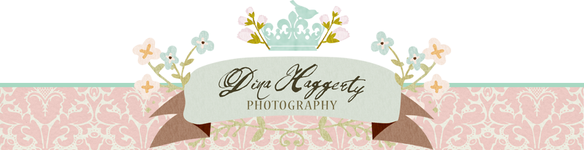 Dina Haggerty Photography