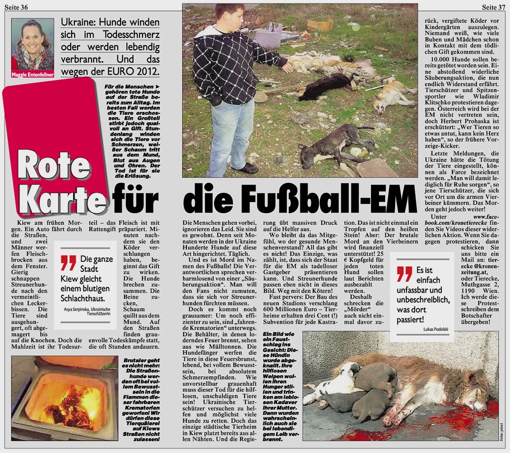 Reportage Beispiel Reportage Beispiel