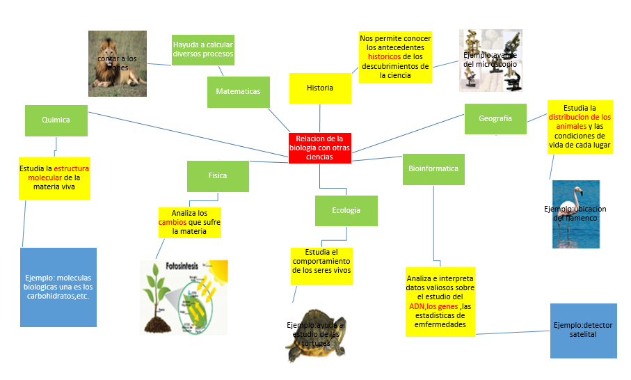 Biologia Mapa Mental Relacion De La Biología Con Otras Ciencias