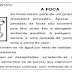 Gramática contextualizada - Texto informativo - 4º Ano