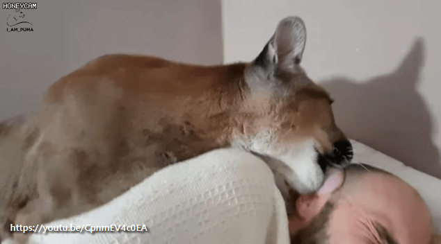 츄파춥스 먹는 중 | 인스티즈