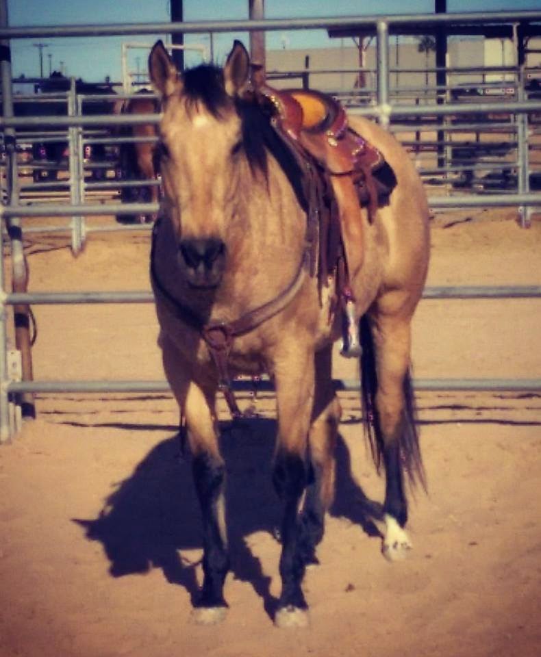 Whispering Horse Ranch