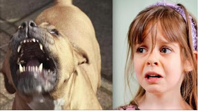 Este perro era el mejor amigo de esta niña,pero mira que paso al cumplir 5 años!.