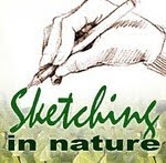 Sketching in Nature
