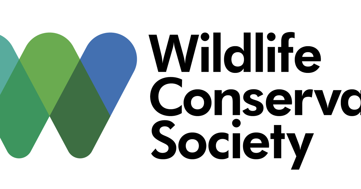 Wildlife Conservation Society Job Vacancy: Outreach and Communication