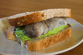 tikus dalam roti