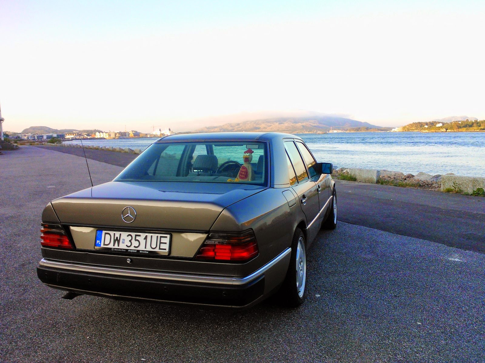 Szrociaki: RAPORT: Merol