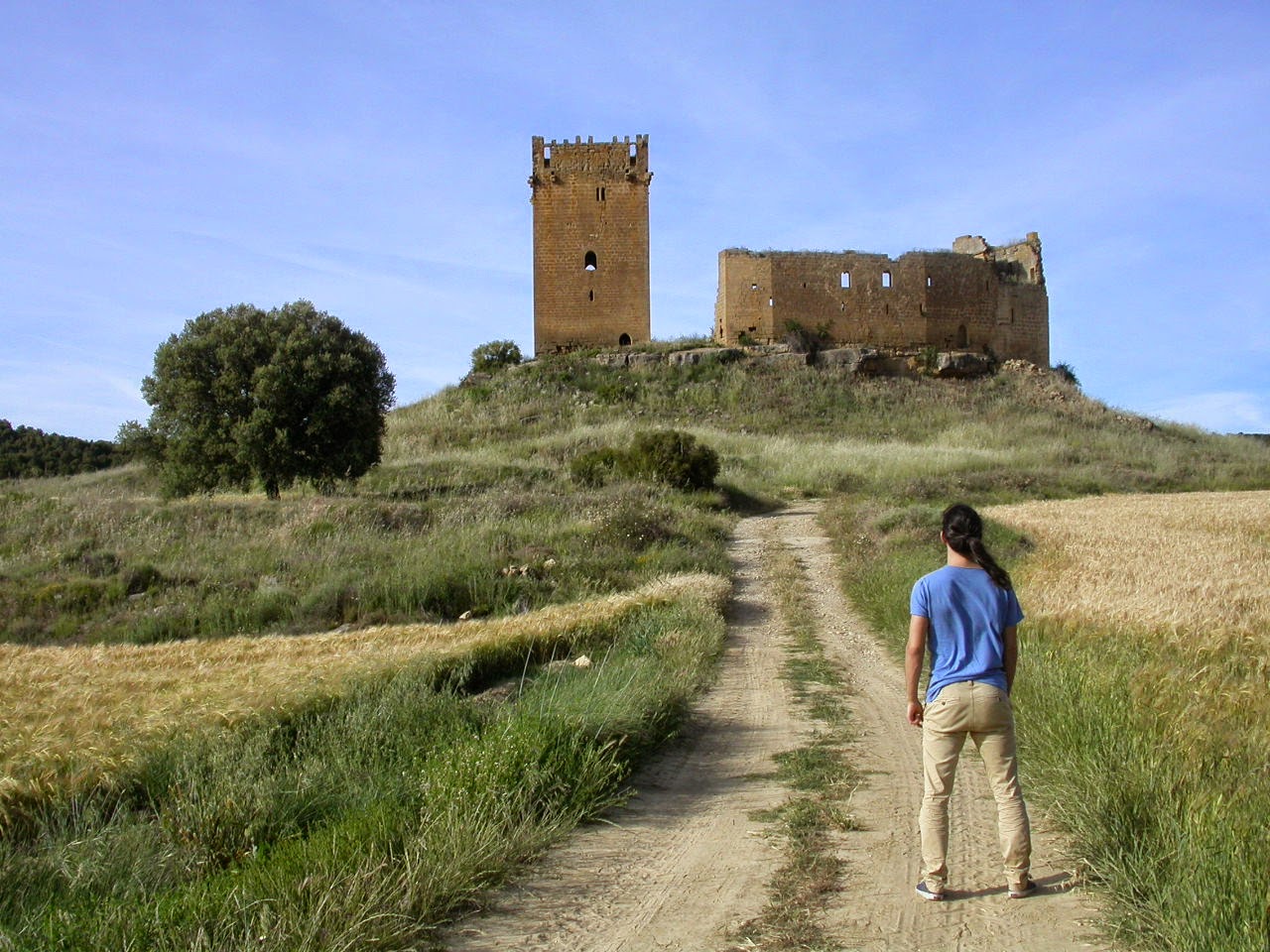 mandarinux Las Cinco Villas