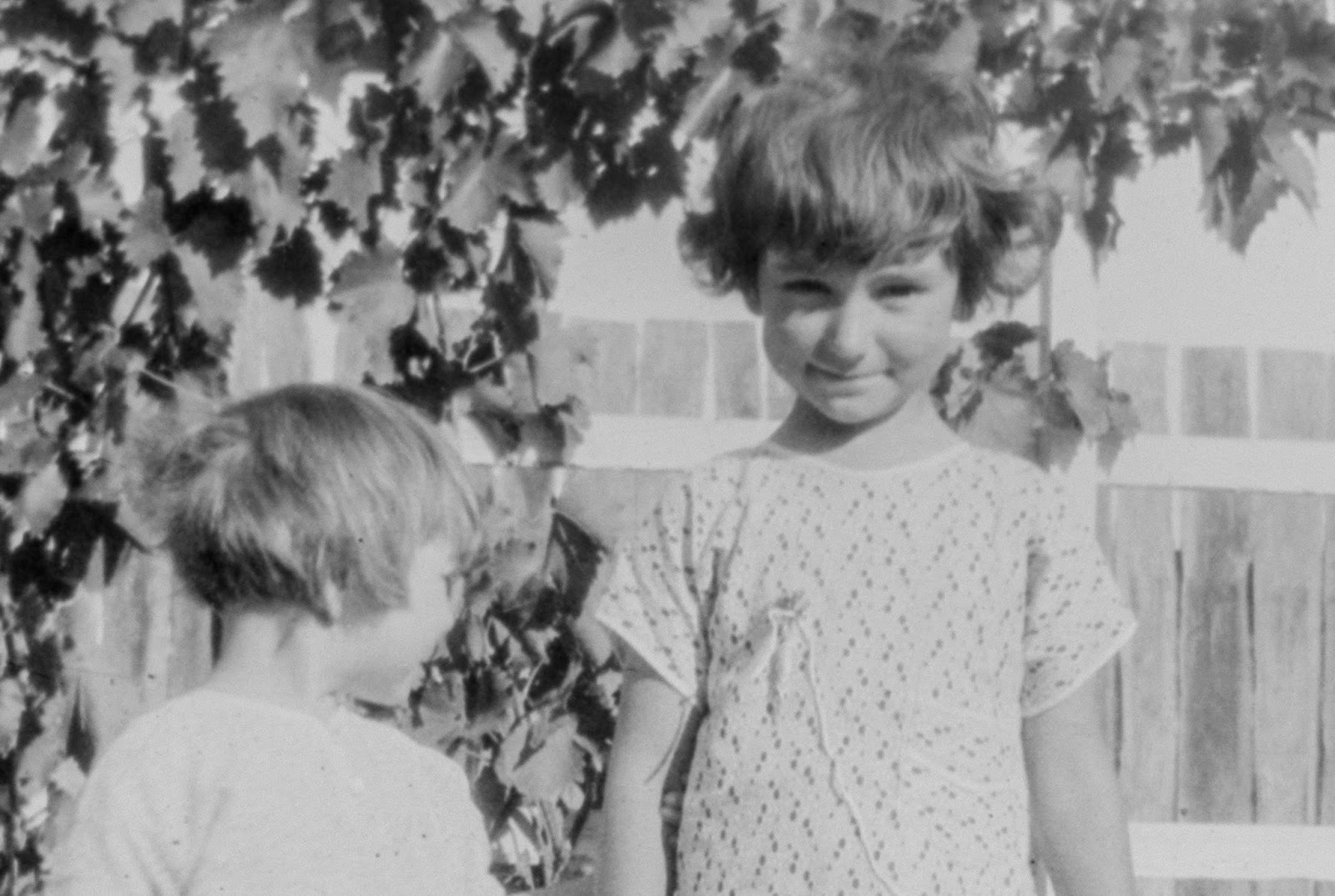 Old format negatives how to get pictures from negatives