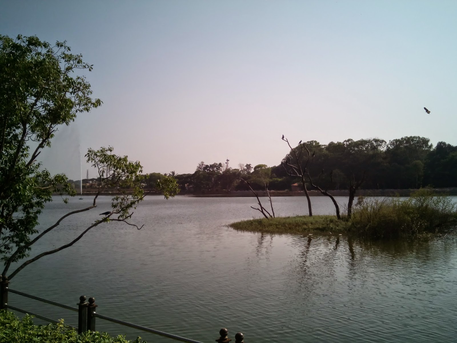 Sankey Tank - Bangalore tourist attractions