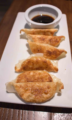 DanDan Review - Fried Vegetable Potstickers