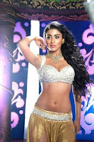 Shriya, saran, hot, cleavage, item, song, photo