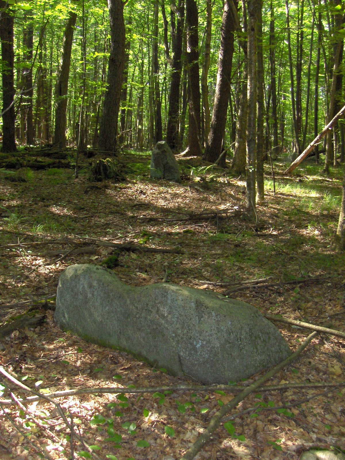 Rock Piles Flatrock Hill, Dunstable MA a hill too far