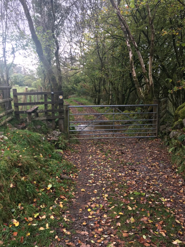 gate-and-style-across-leaf-strewn-path