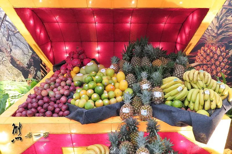 新社花海|中台灣農業博覽會