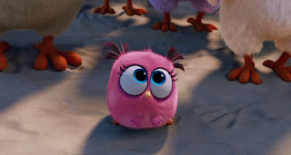3 cute birds background from angry birds
