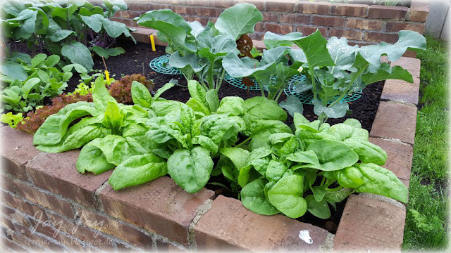 Hochbeet 21. KW Raumentfeuchter