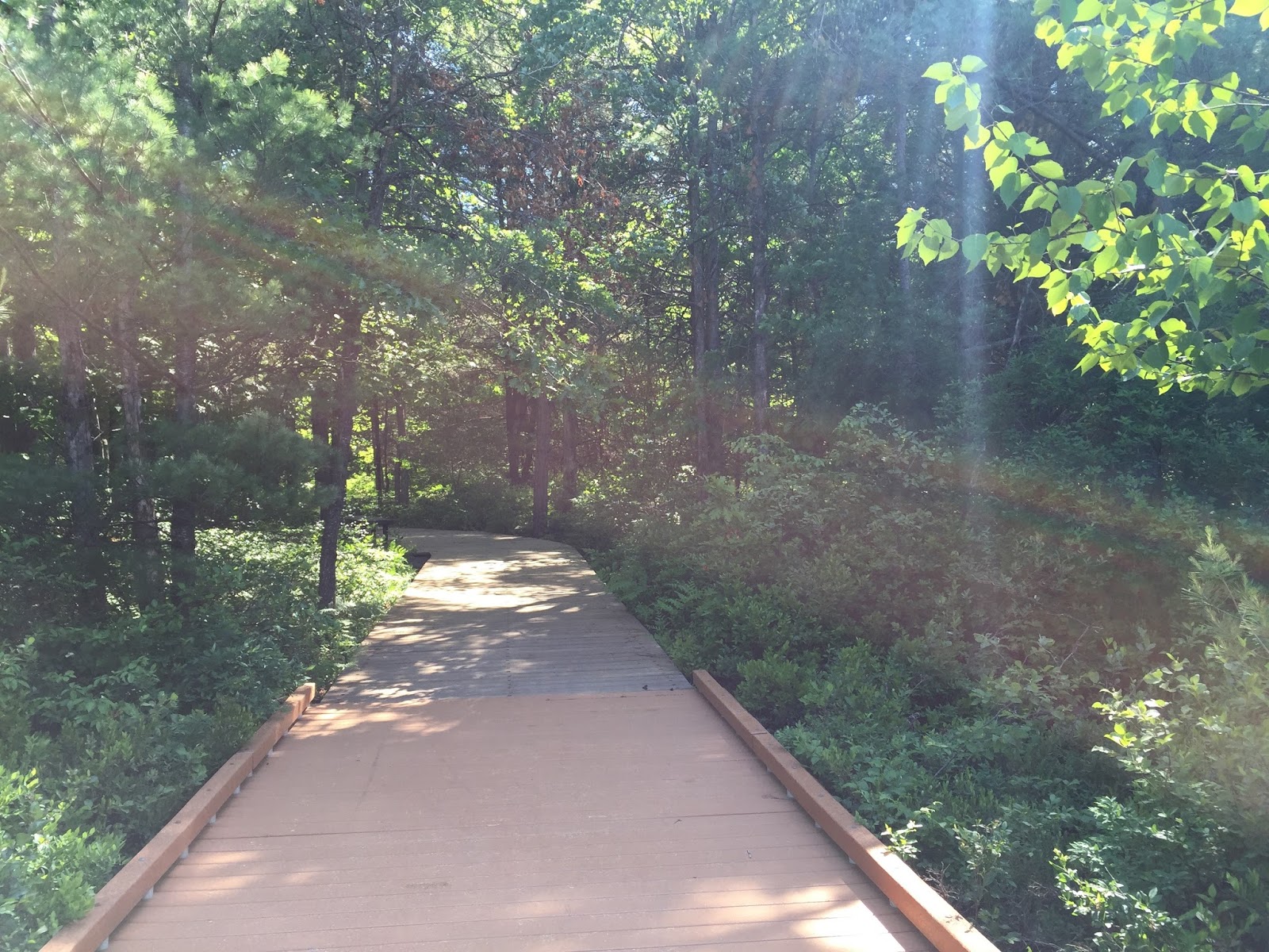 Travel Reviews & Information Midland County, Michigan / Black Creek