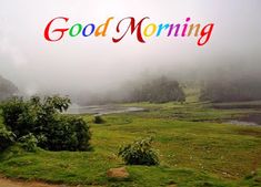 good morning images free download for whatsapp hd download